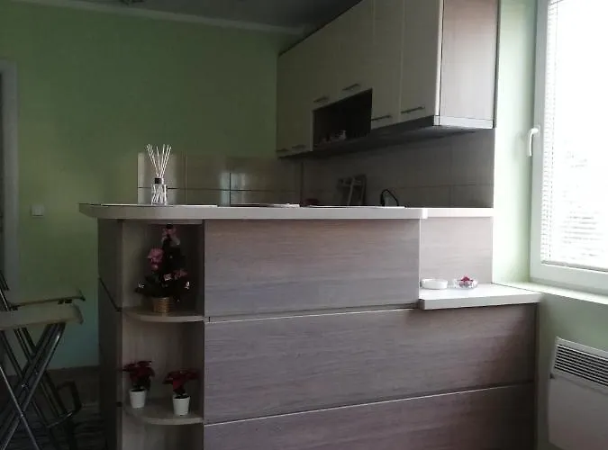 Zk * 兹拉蒂博尔