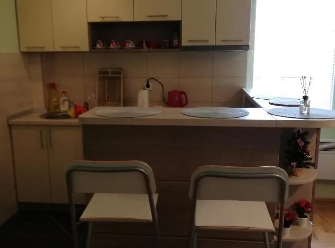 Zk * 兹拉蒂博尔